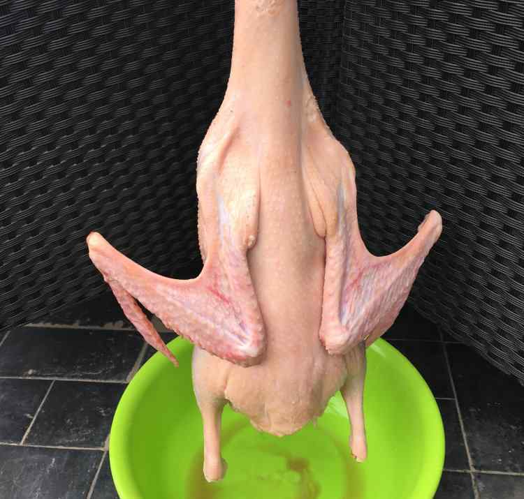 盐水鹅的制作方法 盐水鹅配方 盐水鹅的做法大全