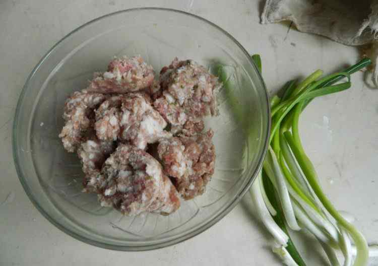 正宗小笼包的发面方法 鲜肉小笼包的做法 鲜肉小笼包做法大全