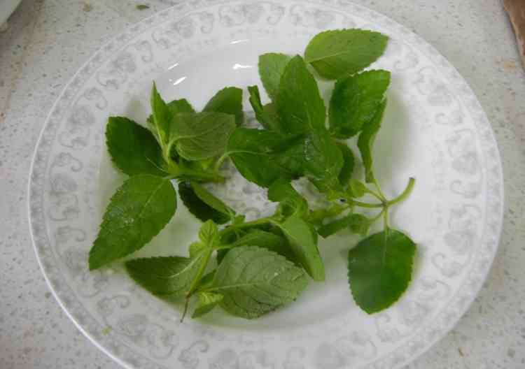 海鳗鱼的做法 薄荷叶香煎海鳗的最正宗做法 薄荷叶香煎海鳗食谱做法大全