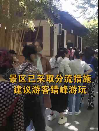 人人人！西湖断桥五一假期变“人桥” 有人还在高速上遛狗……看完还出门吗 ？