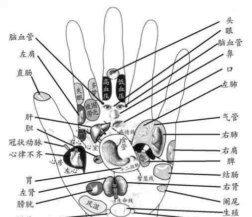 手背 手掌手背可以治百病的穴位，90%的人不知道！