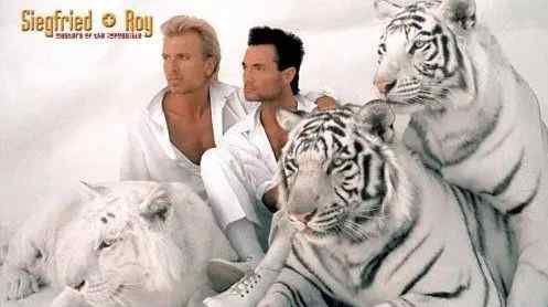 虎兄弟 创造不可能的大师——白老虎兄弟Siegfried & Roy