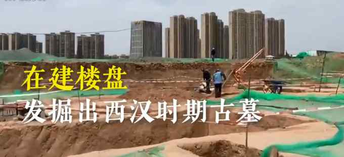 西安一汉墓发现2000年前“粮食” 装有大麻籽等 网友：不愧是你！