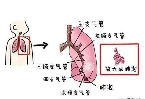 婴儿肺炎症状怎么判断 宝宝肺炎是咳出来的？5招帮你判断是肺炎还是感冒