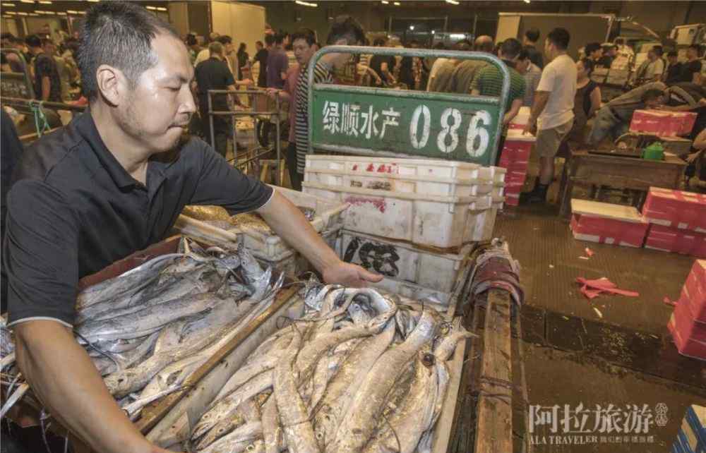 宁波大世界水产市场 没有来过这个水产市场，不算真正的宁波人！