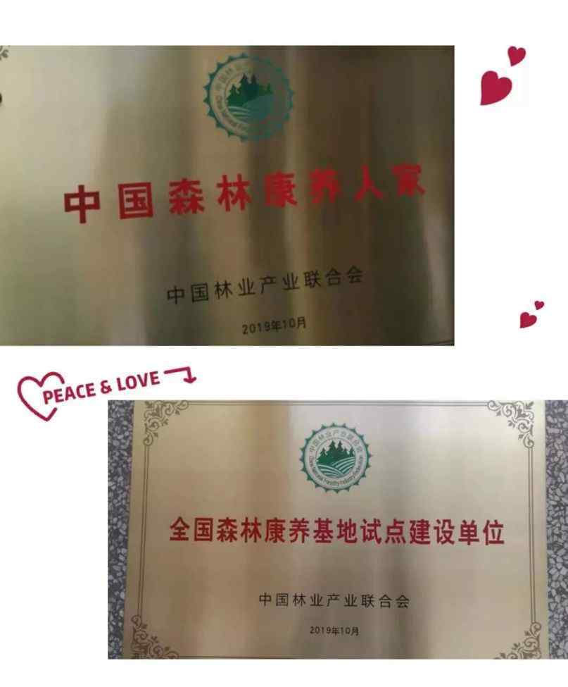 滕威林 秘境佤寨荣获中国森林康养之家