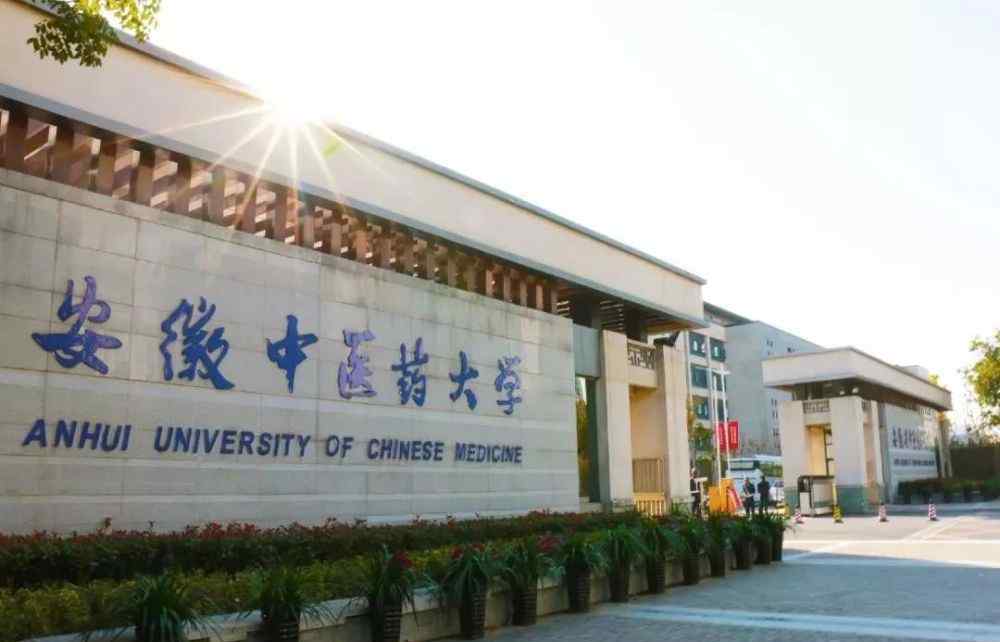 安徽中医学院图书馆 全省首个！安徽中医药大学打造全省首个海外中医药中心落地雅典