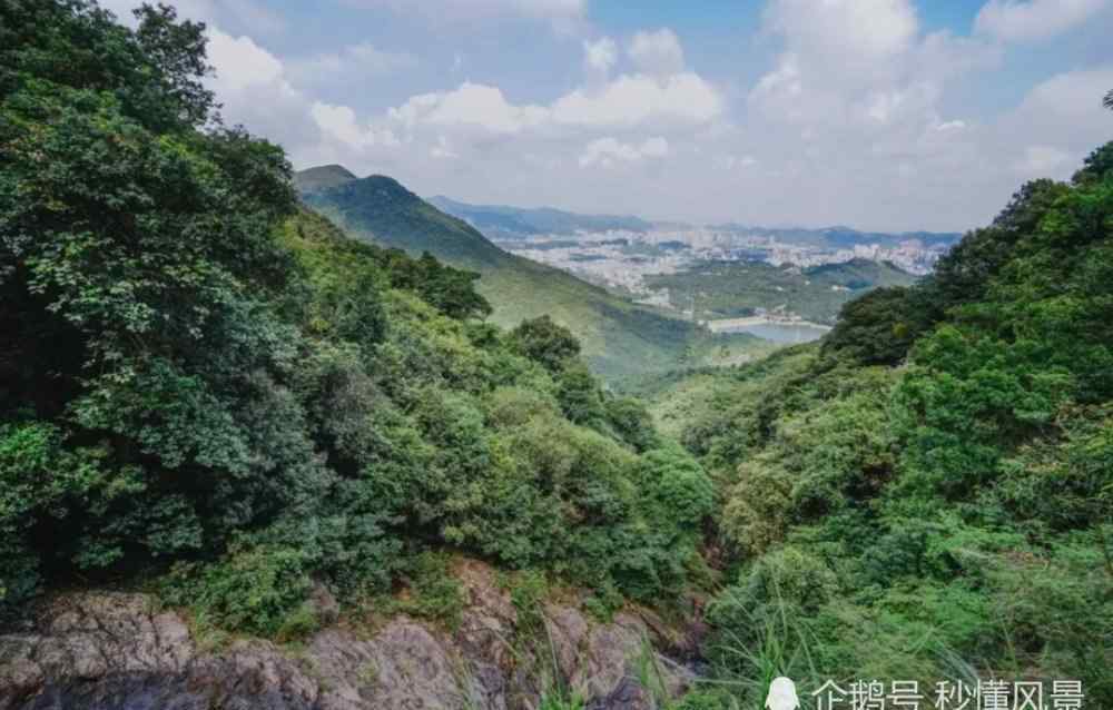 东莞观音山门票 东莞观音山森林公园门票多少钱要提前订吗可以玩什么