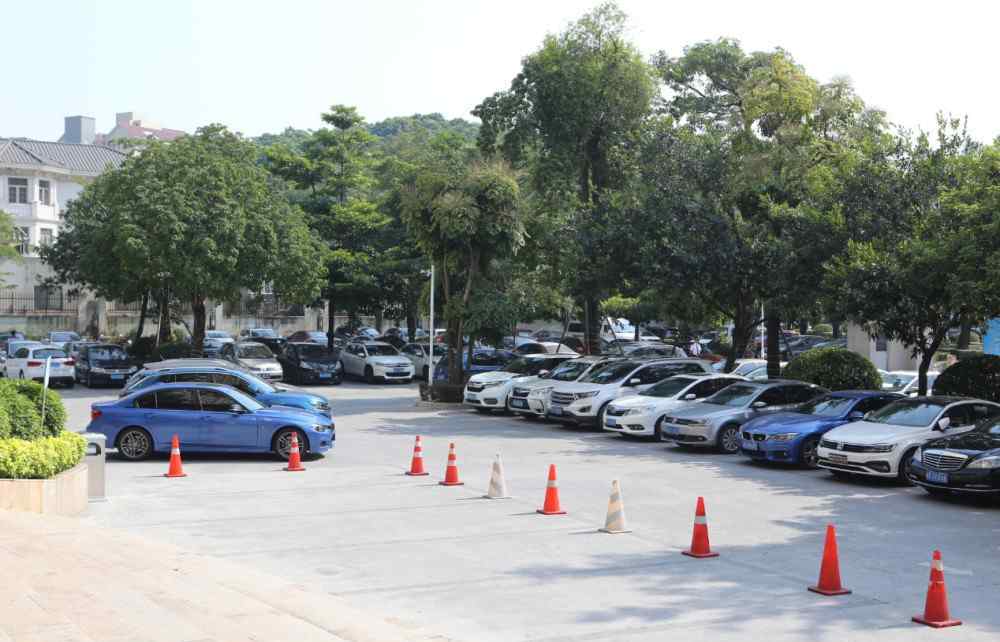 唐林灿 蓝光碧桂园锦泷湾红动全城千人到访均安