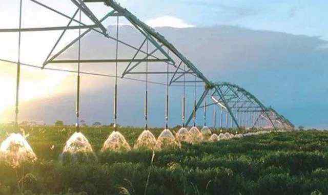 大棚育苗技术 灌溉施肥技术在温室大棚育苗中的应用