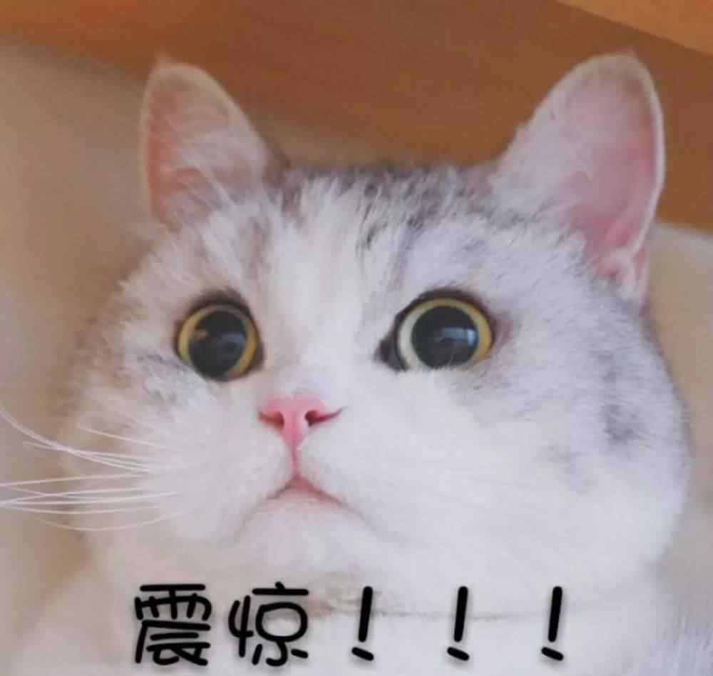 管窥蠡测的读音是什么 这些竟然是成语，管窥蠡测要不得！
