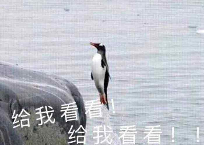 导游证报名条件 一定要看！2019年全国导游证考试报名须知在此