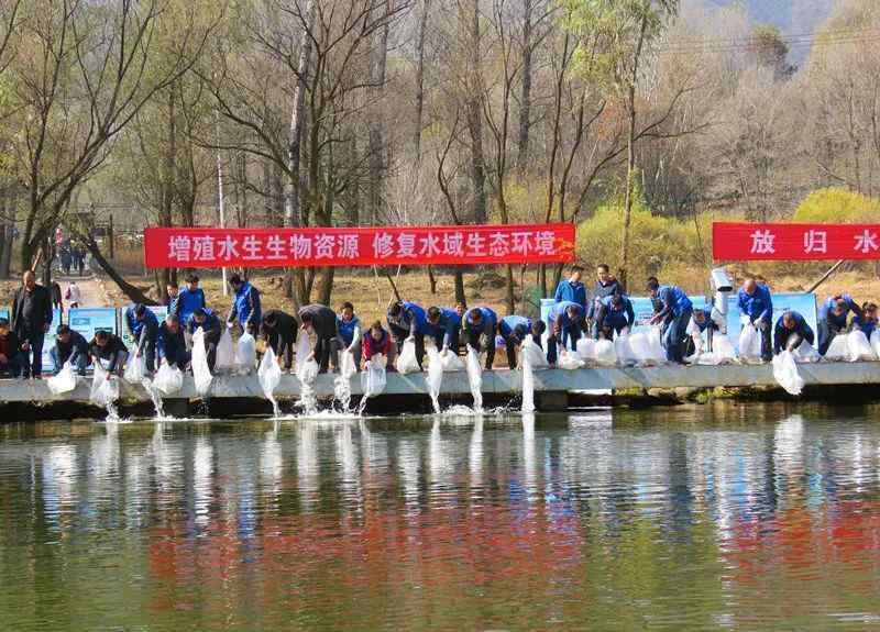 多鳞白甲鱼 北京野生鱼类锐减！鱼类多样性下降程度明显