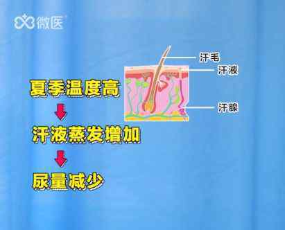 一喝水就想尿是肾虚吗 一喝水就想上厕所，是肾虚吗？