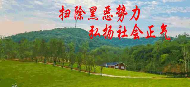 红色故事会 红色故事会开讲了！