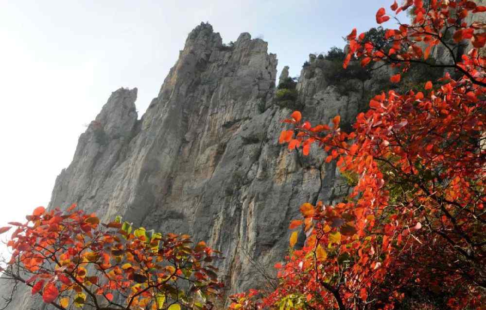 巫山红叶节演唱会 2019巫山红叶节开幕时间已定！现场活动、游玩路线提前看！