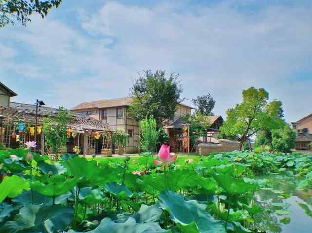 乌镇住宿多少钱一晚 国内最会赚钱的村落，建在乌镇的旁边，住宿一晚要2000多元