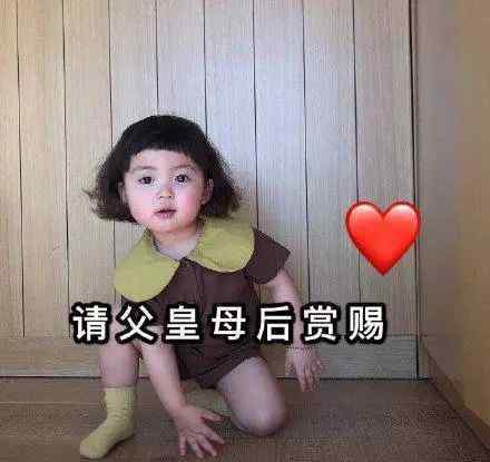 伸手要钱 罗熙伸手要钱的表情包
