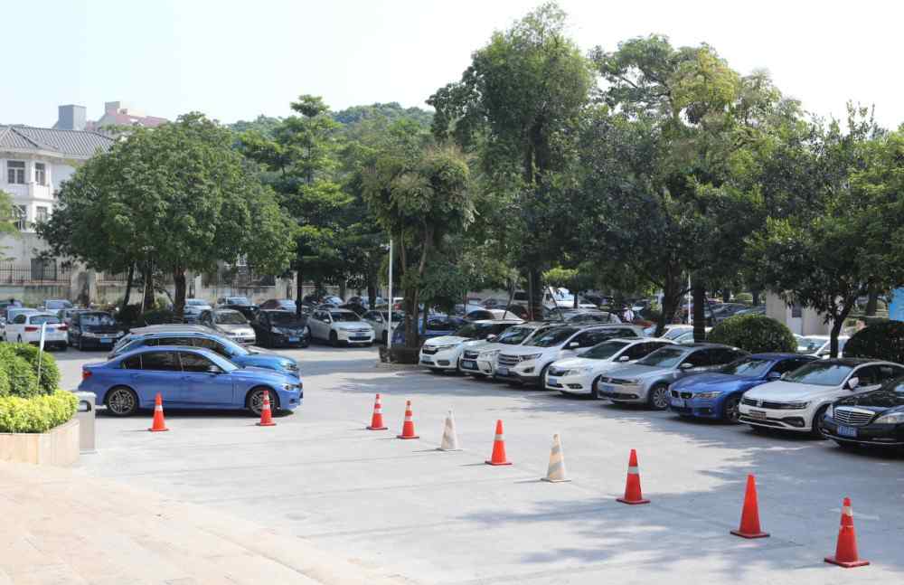唐林灿 蓝光碧桂园锦泷湾红动全城千人到访均安文章配图