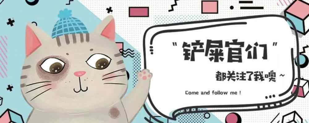 为什么养折耳猫很残忍 折耳猫有多可爱，人类就有多残忍