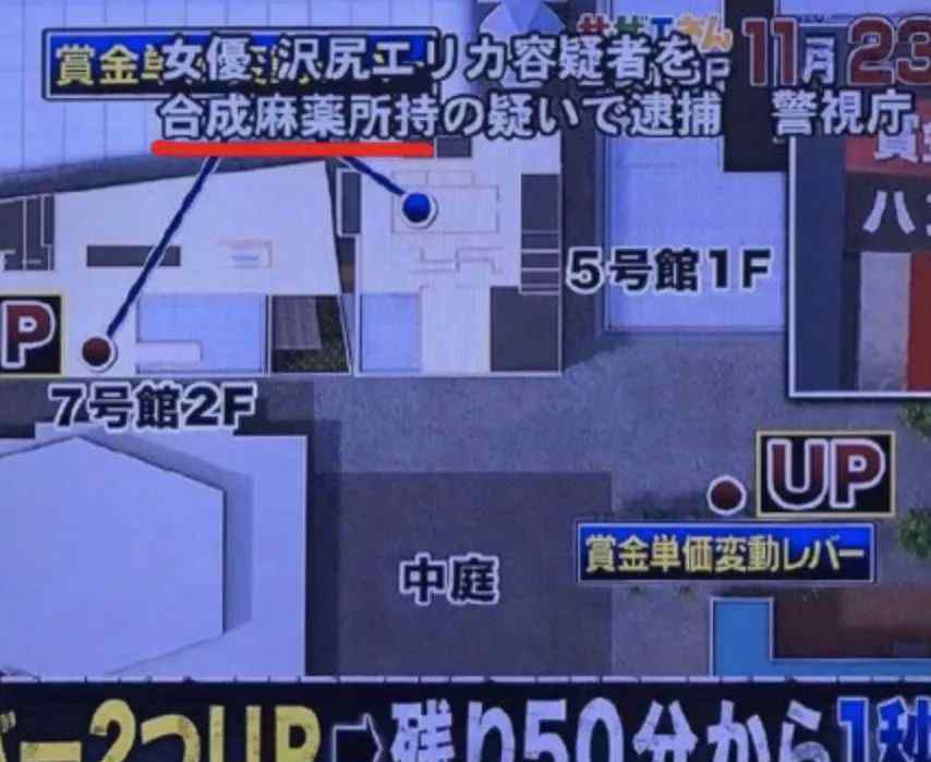 泽尻英龙华整容天后 33岁泽尻英龙华藏毒被捕，网友：太不洁身自爱了