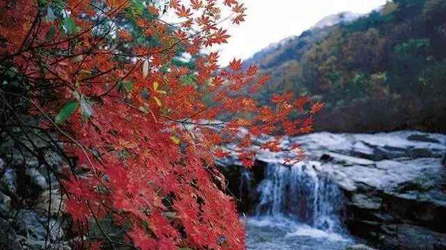 韩国护照免签国家 去韩国, 护照上有这些国家签证可以“免签”入境！