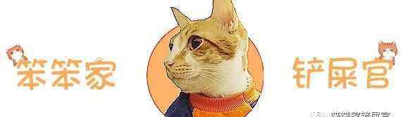 闹米 “猫咪又双叒叕乱拉尿了”：一文教你解决，猫尿、骚味问题