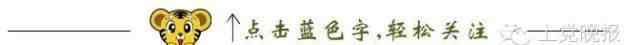 世界武术锦标赛 第十五届世界武术锦标赛赛场传来喜讯