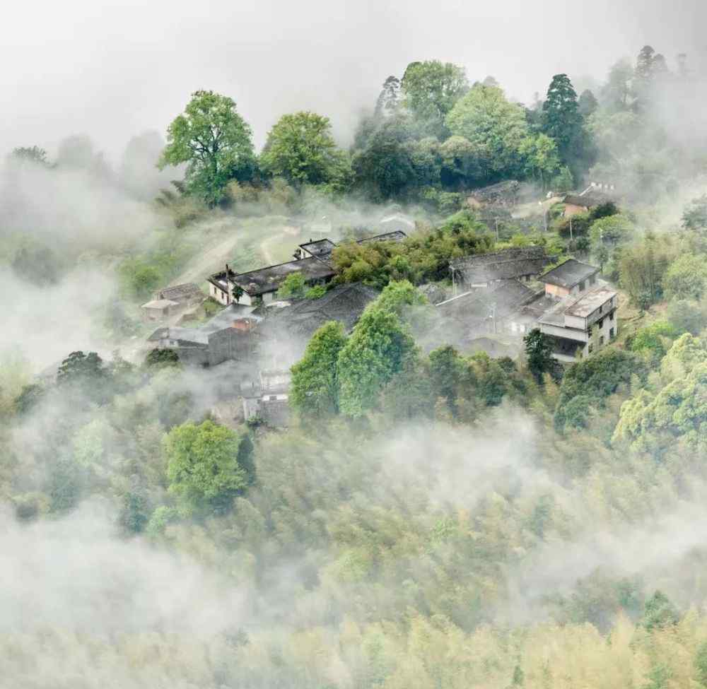 天斗山 住进森林的小木屋，赏四季的美景！永安天斗山庄给你不一样的享受