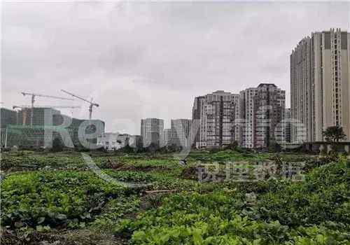 蓝光sofa社区 成都主城“土拍大战”三天后见！准备好了吗？