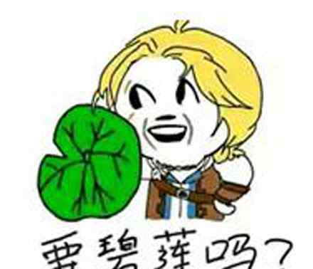 碧莲什么意思 不要碧莲是什么梗