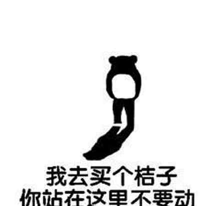 橘子树图片 橘子树是什么梗