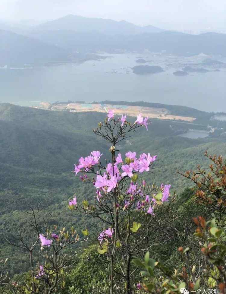 深圳排牙山 深圳第一险峰：排牙山