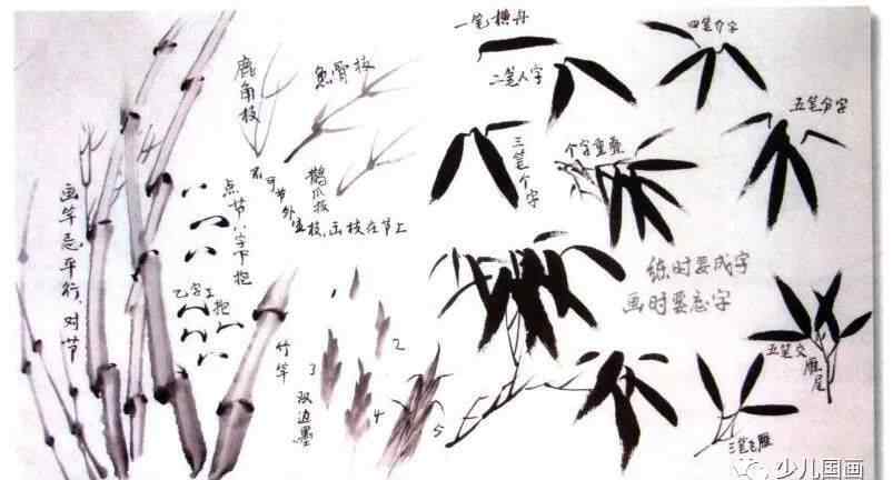 怎么画竹子 教你怎样画国画 国画入门基础技法：画竹子要点