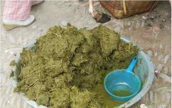 牛瘪汤 用牛屎熬成的牛瘪汤 竟然是美味