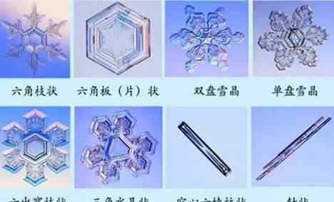 关于雪的图片 关于雪的冷知识