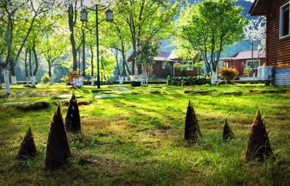 天斗山 住进森林的小木屋，赏四季的美景！永安天斗山庄给你不一样的享受