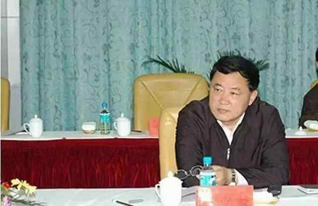 段雁秋 亲爸和俩干爹都是落马“老虎”的他 涉案房产首拍流拍