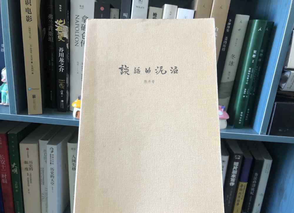 陈丹青的书 超喜欢读访谈类的书，读完陈丹青的《谈话的泥沼》，特别感慨