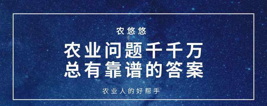 马克隆 什么是马克隆值？马值的大小和我们有什么关系？