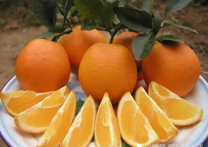 江西赣南脐橙 江西赣南脐橙，橙香四溢，汁水酸甜，比普通橙子更加香甜，你吃过吗？