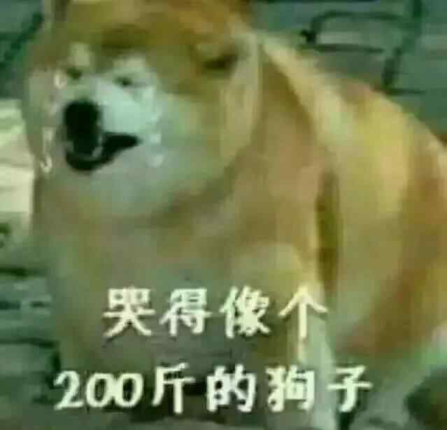 新手养狗入门必备攻略 3天从小白变大神——新手养狗全攻略之疫苗篇（中）建议收藏备用！