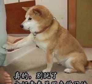 学霸养成计划 全网惊叹的学霸养成计划表快安排上
