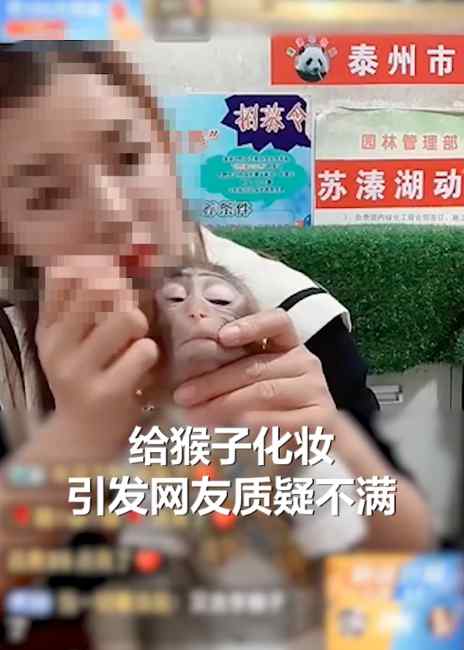 饲养员直播给猴子化妆？泰州一动物园回应！网友看不下去了