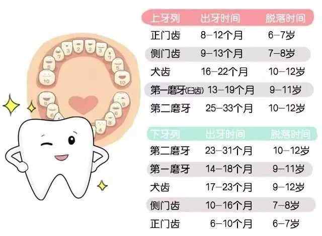 小孩换牙齿一直长不出来怎么办 孩子换牙慢是什么原因？乳牙长不出来怎么办？