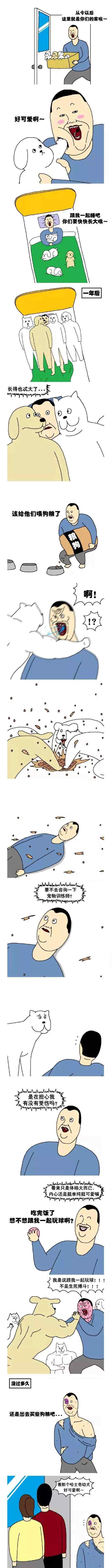 养边牧的心酸 有一种心酸叫养大型犬，或许这就是痛并快乐着的滋味吧！
