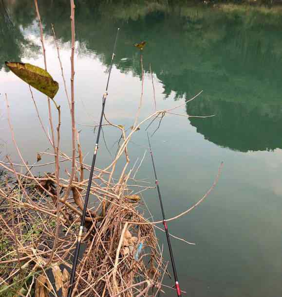 桃花鱼 自从严抓电鱼后，河里的这种“桃花鱼”又泛滥了，钓都钓不完