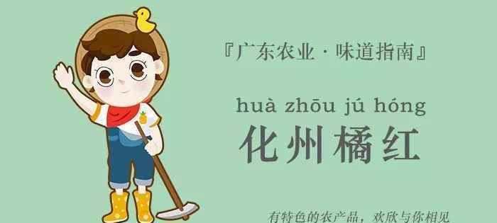 南未果子 广东产的这个果子不得了，不仅能吃，还能……