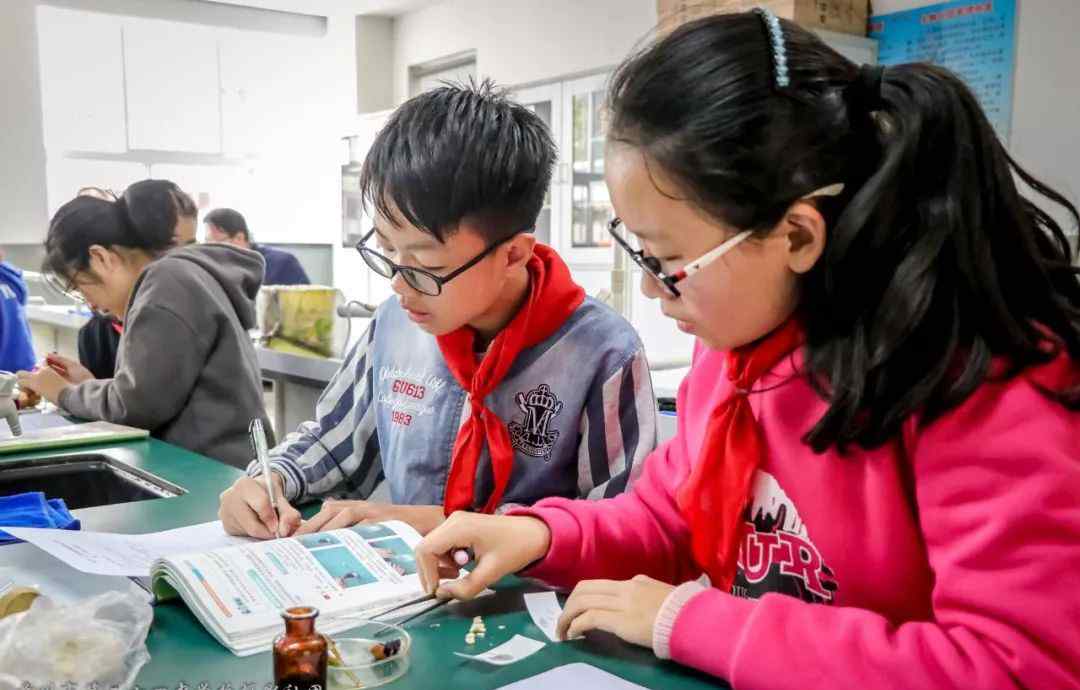学习任务单 有效教学│如何提升学力？从课堂学习任务单出发！