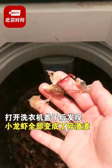 翻车现场！女子用洗衣机洗小龙虾洗成渣渣：感觉自己有点搞笑